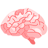 body part - Brain